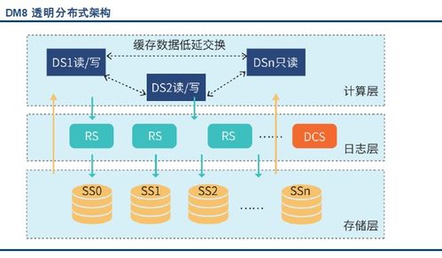 國內外主流數(shù)據庫系統(tǒng)產品概覽及其國內貿易代理生態(tài)